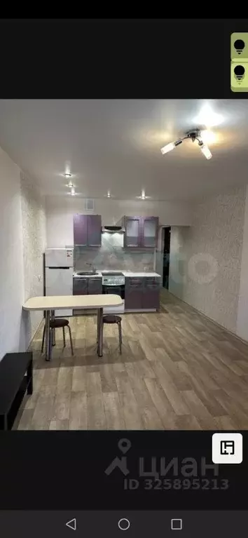 Студия Новосибирская область, Новосибирск ул. Виктора Уса, 15 (27.0 м) - Фото 1