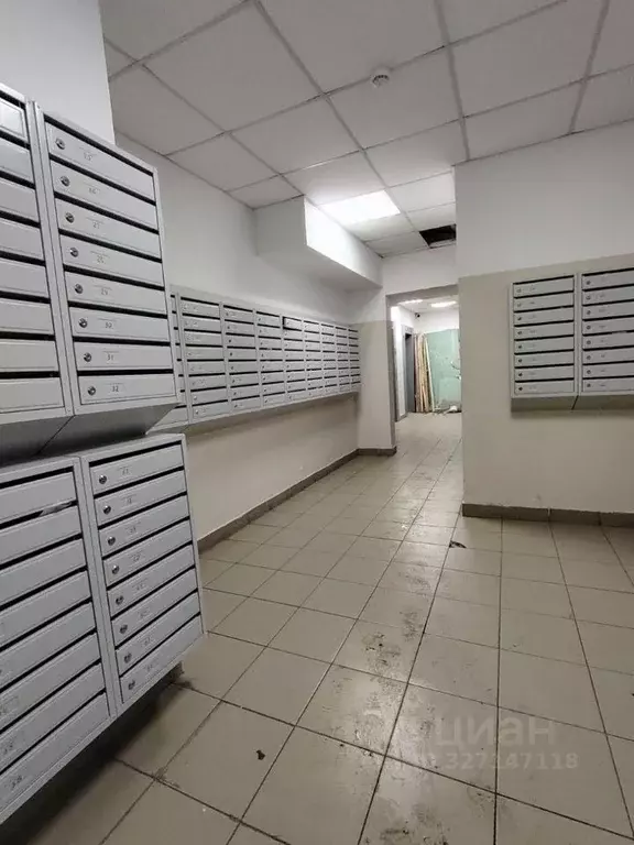 Студия Красноярский край, Красноярск Караульная ул., 39В (30.0 м) - Фото 2