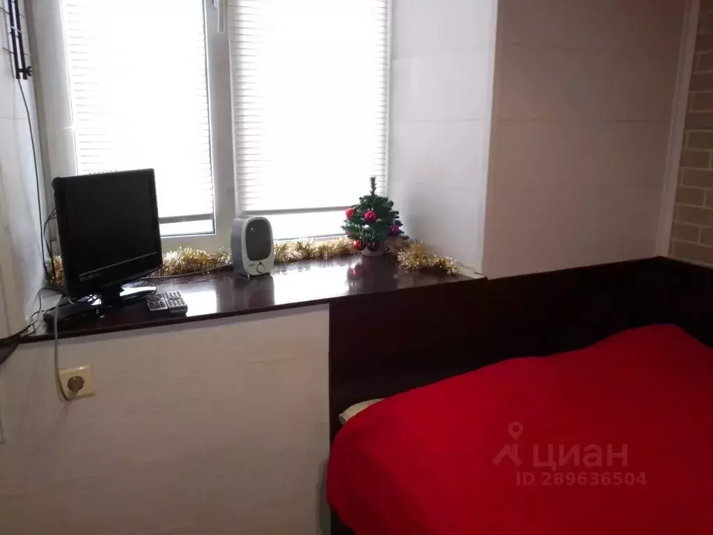 Студия Красноярский край, Красноярск Свободный просп., 42 (26.0 м) - Фото 1