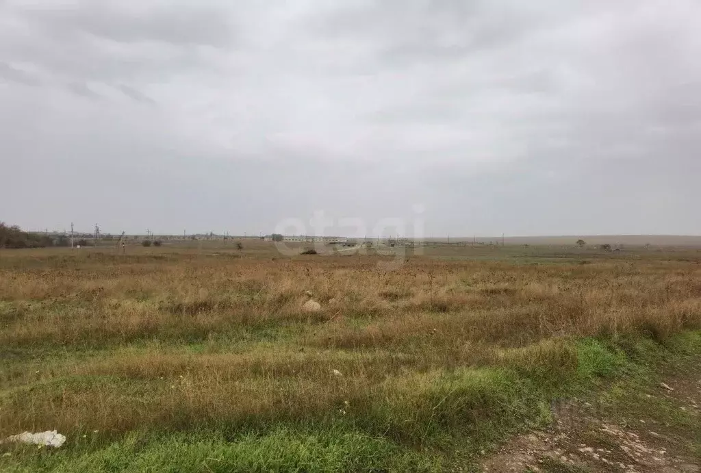 Участок в Крым, Черноморский район, Оленевское с/пос, с. Оленевка  ... - Фото 1
