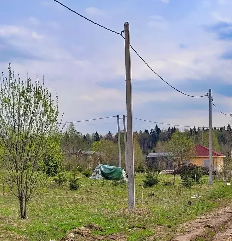 Участок в Московская область, Дмитровский муниципальный округ, д. ... - Фото 1