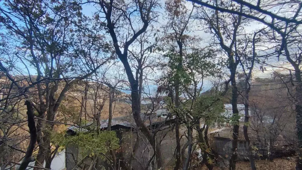 Участок в Крым, Ялта муниципальный округ, Гаспра пгт ул. Риекская, 27 ... - Фото 1