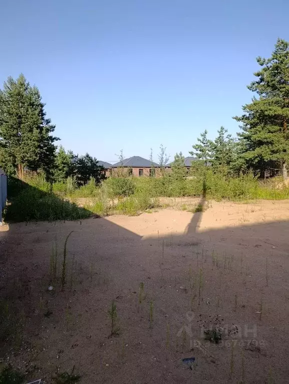 Участок в Московская область, Щелково городской округ, Орловские ... - Фото 1