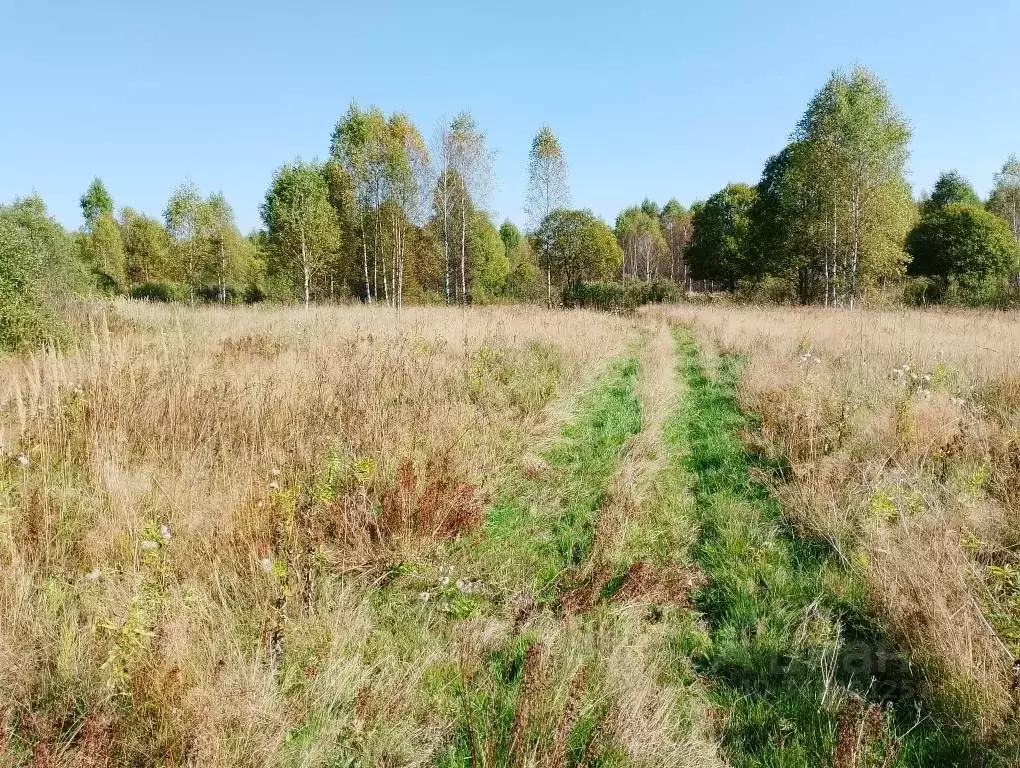 Участок в Тверская область, Зубцовский муниципальный округ, д. ... - Фото 0