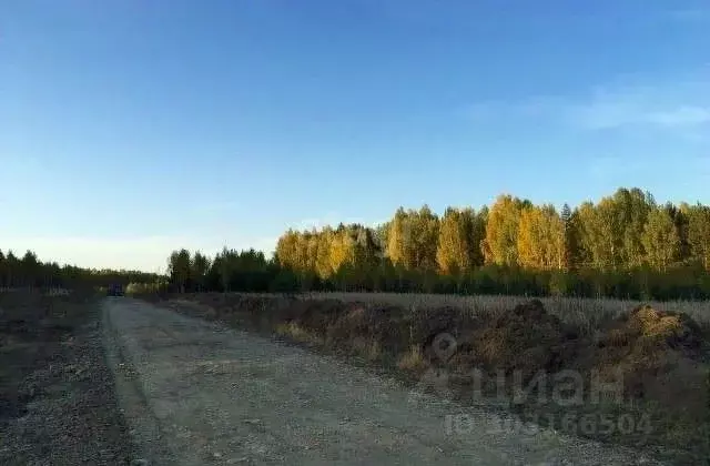 Участок в Свердловская область, Ревда городской округ, пос. Ледянка  ... - Фото 1