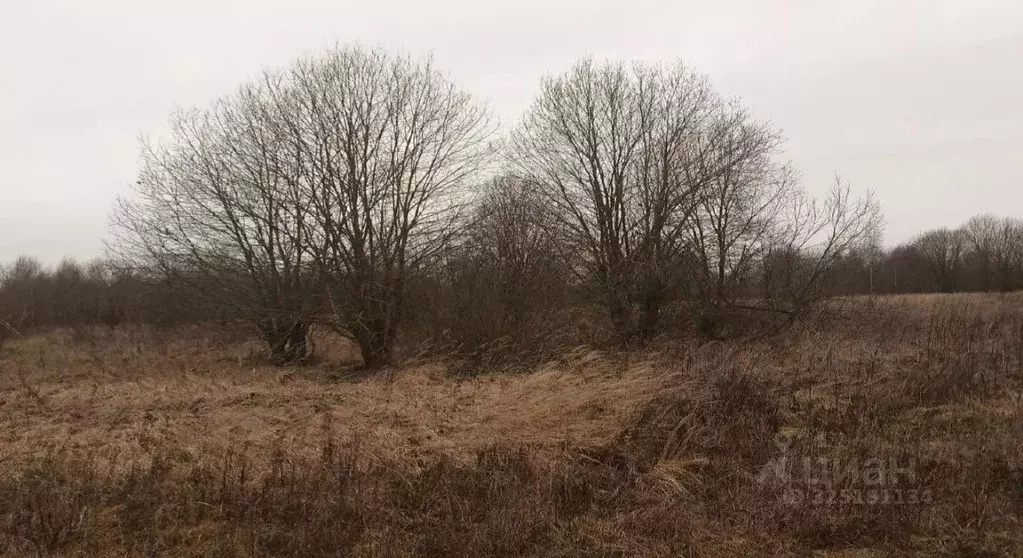 Участок в Московская область, Дмитровский муниципальный округ, д. ... - Фото 1