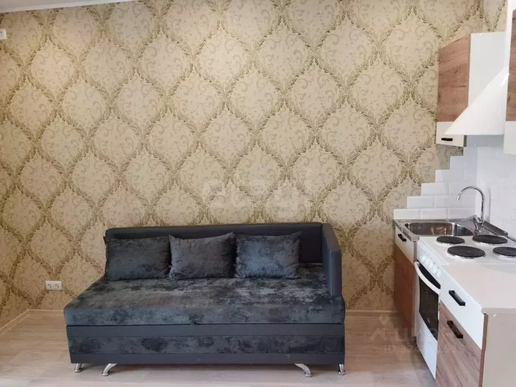 Студия Амурская область, Благовещенск Амурская ул., 55/3 (20.0 м) - Фото 1