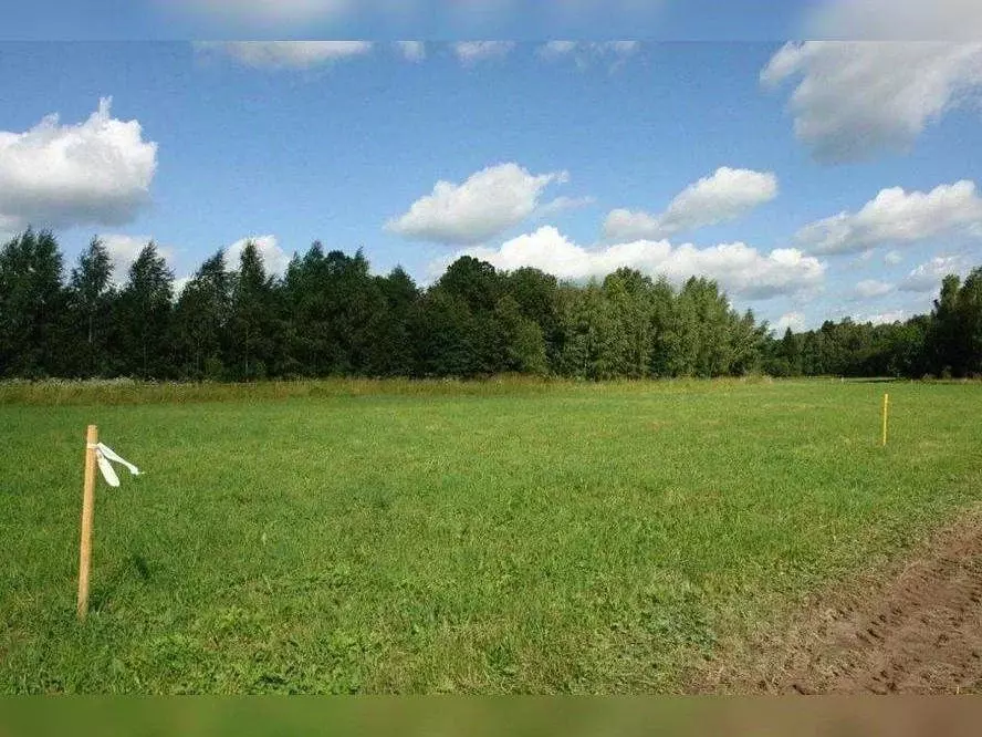 Участок в Московская область, Ступино городской округ, д. Ламоново ул. ... - Фото 1