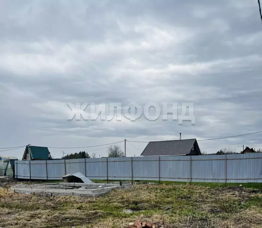 Участок в Новосибирская область, Коченевский район, Чародейка СНТ  ... - Фото 0