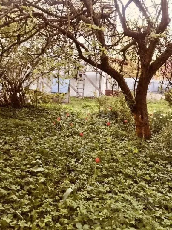 Участок в Калининградская область, Калининград Весна СНТ, ул. ... - Фото 1
