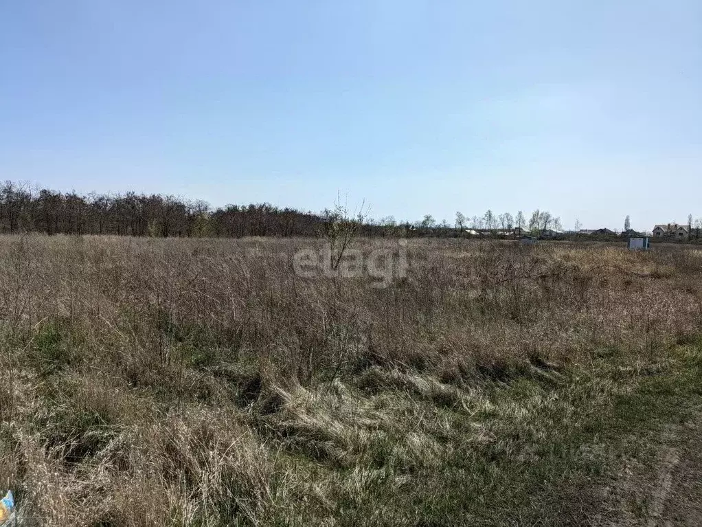 Участок в Белгородская область, Белгородский район, Разумное рп ул. ... - Фото 0