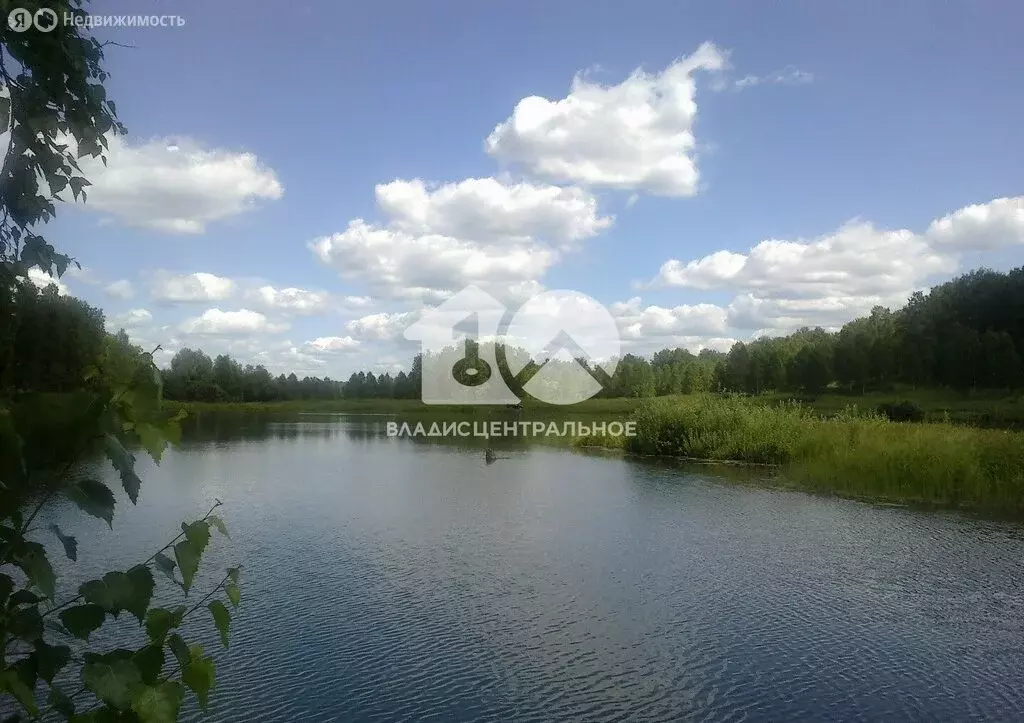 Дом в Новосибирский район, Станционный сельсовет, посёлок Ленинский ... - Фото 0