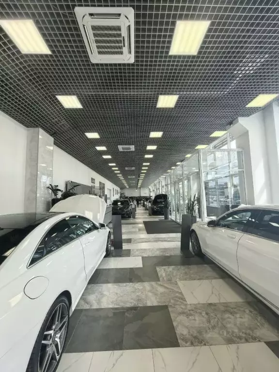 Торговая площадь в Пермский край, Пермь ул. Окулова, 75к3 (300 м) - Фото 1