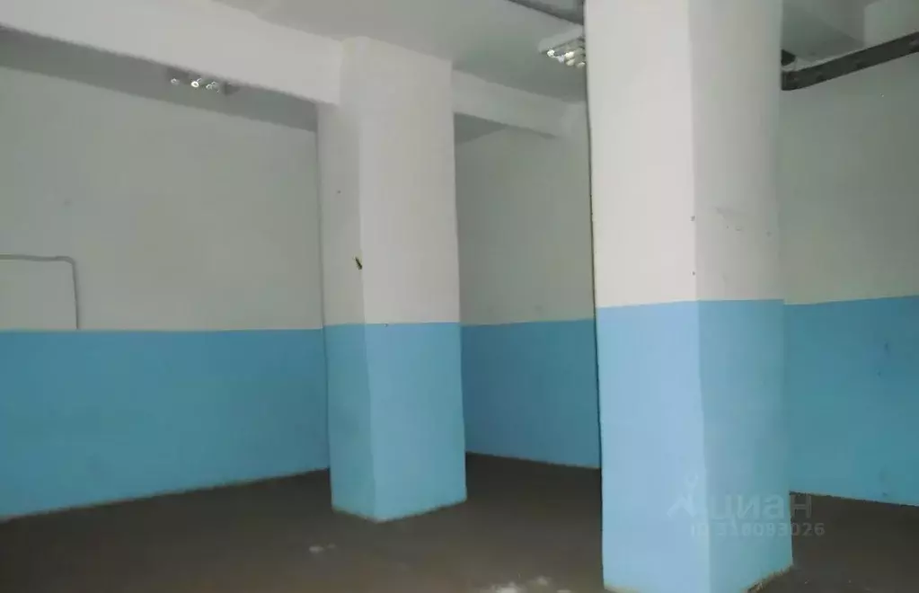 Помещение свободного назначения в Новосибирская область, Новосибирск ... - Фото 0