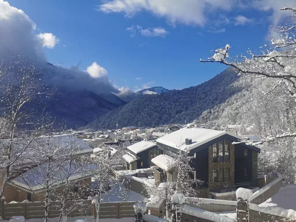 Дом в Краснодарский край, Сочи Красная Поляна пгт, ул. Дворцовая (600 ... - Фото 1