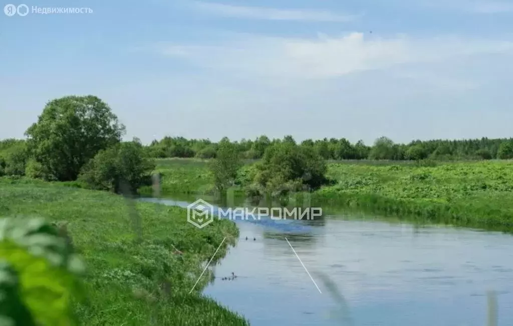 Участок в Бокситогорский район, Борское сельское поселение, деревня ... - Фото 1