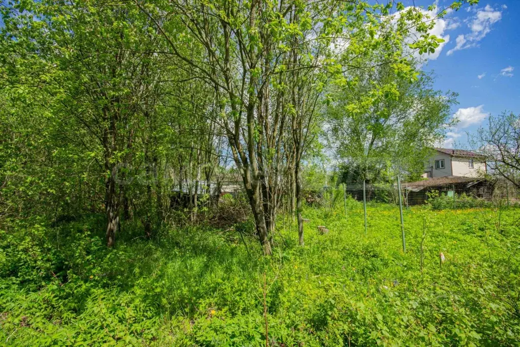 Участок в Московская область, Одинцовский городской округ, пос. Часцы ... - Фото 2