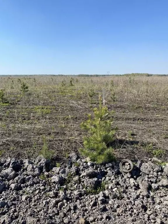 Участок в Тюменская область, Тюменский район, д. Малиновка, Малиновка ... - Фото 0