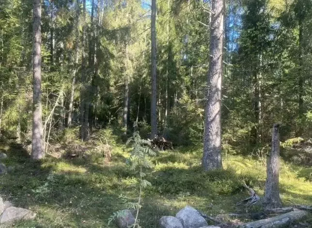 Участок в Ленинградская область, Выборгский район, Советское городское ... - Фото 0