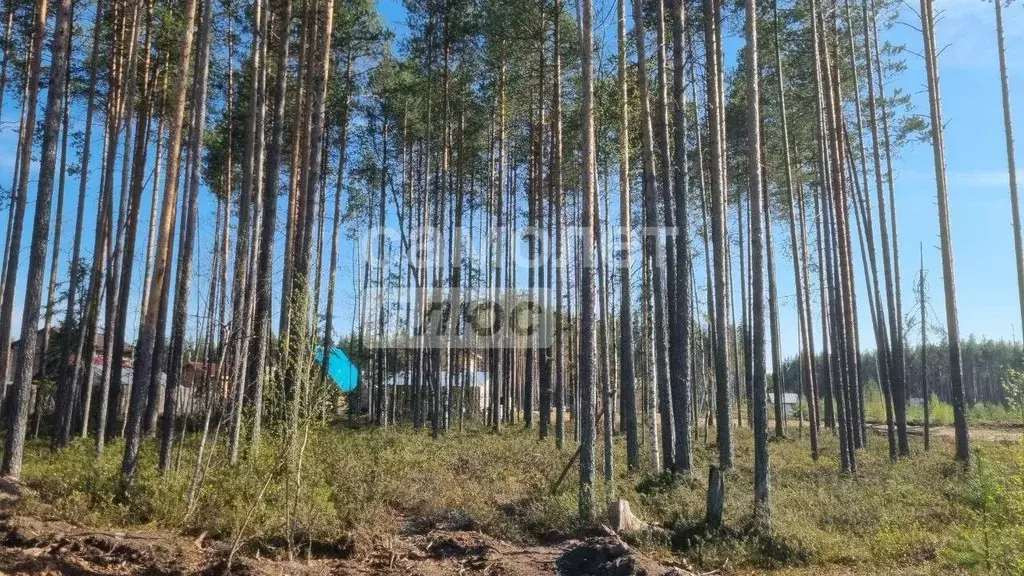 Участок в Коми, Сыктывкар городской округ, Краснозатонский пгт ул. ... - Фото 1