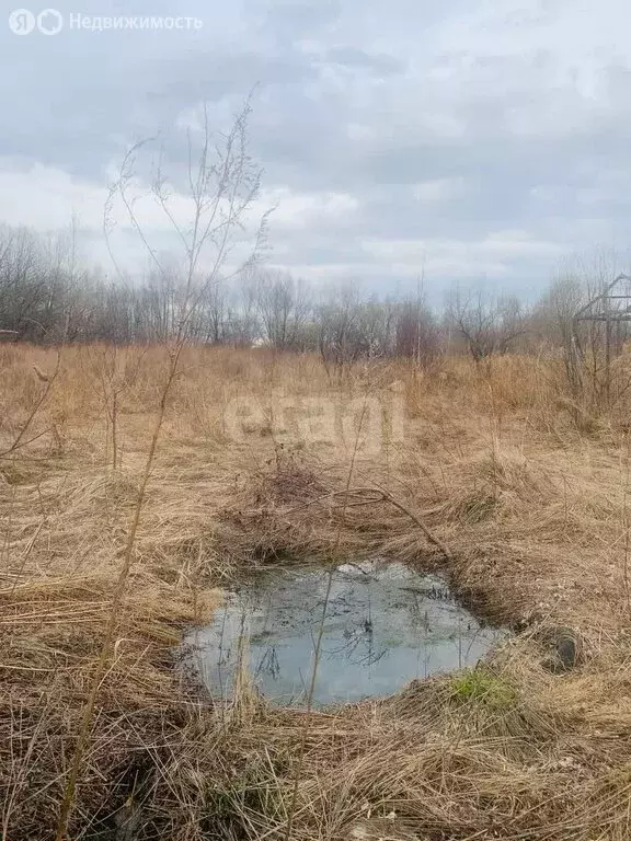 Участок в Хабаровск, Берёзовское шоссе (7.3 м) - Фото 0