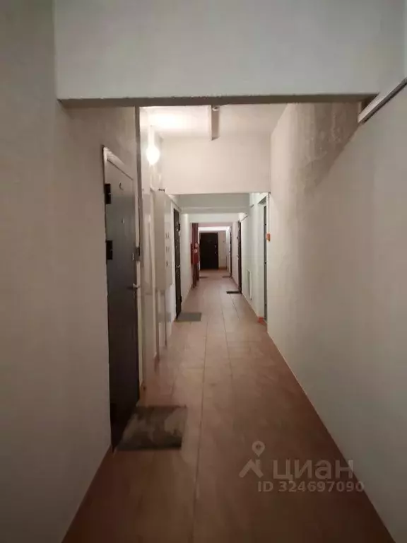 Студия Тверская область, Тверь Новочеркасская ул., 57 (29.0 м) - Фото 2