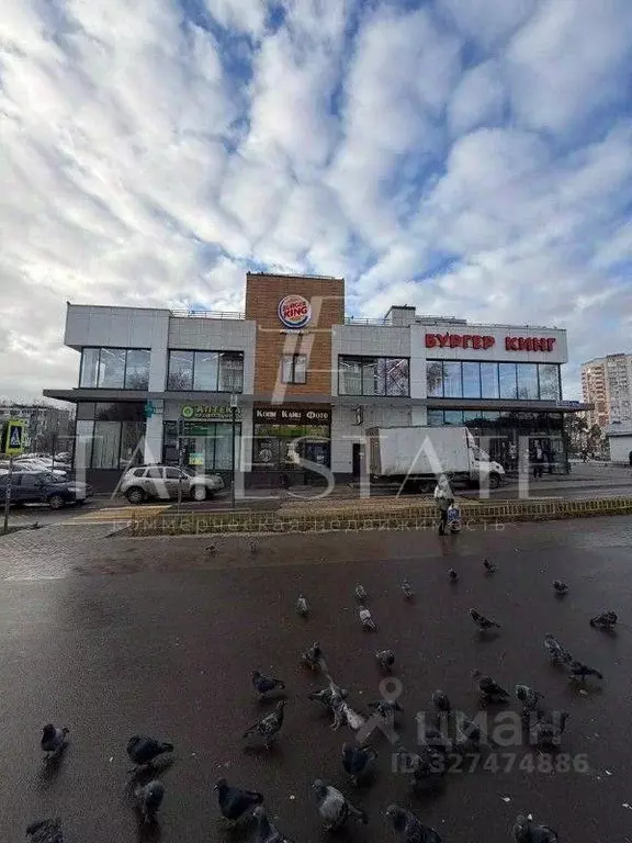 Помещение свободного назначения в Татарстан, Казань ул. Восстания, 83А ... - Фото 1