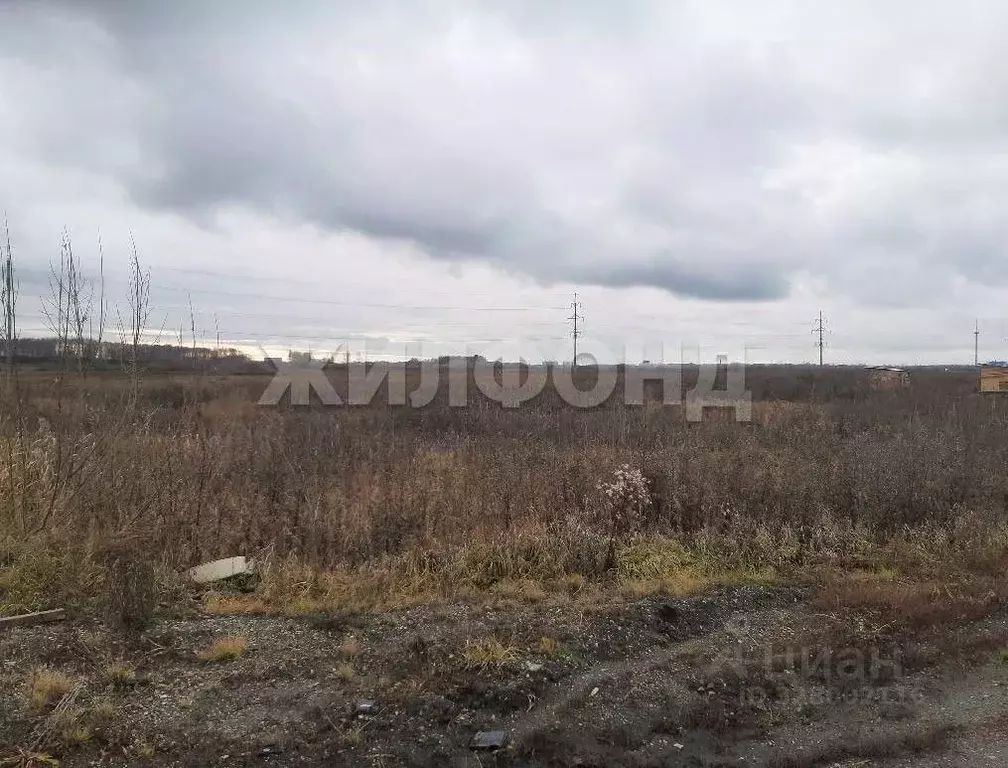 Участок в Новосибирская область, Новосибирский район, Криводановский ... - Фото 2