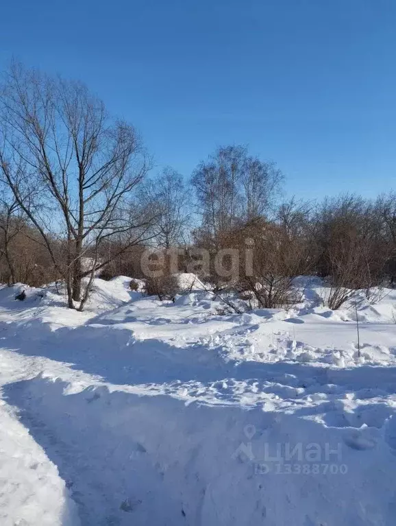 Участок в Курганская область, Шадринск Имени Мичурина СОТ,  (6.0 сот.) - Фото 1