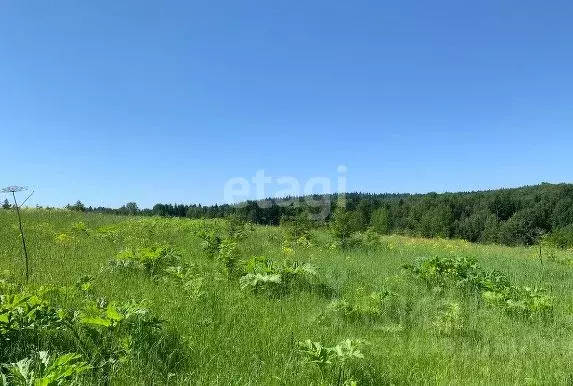 Участок в Пермский край, Пермский муниципальный округ, д. Пашня  ... - Фото 1