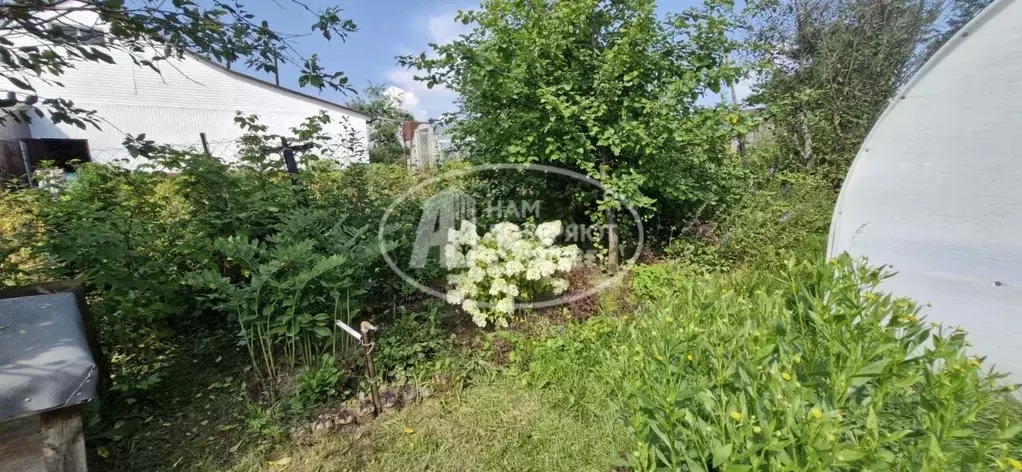 Дом в Пермский край, Лысьва ул. Аликина, 65 (55 м) - Фото 2