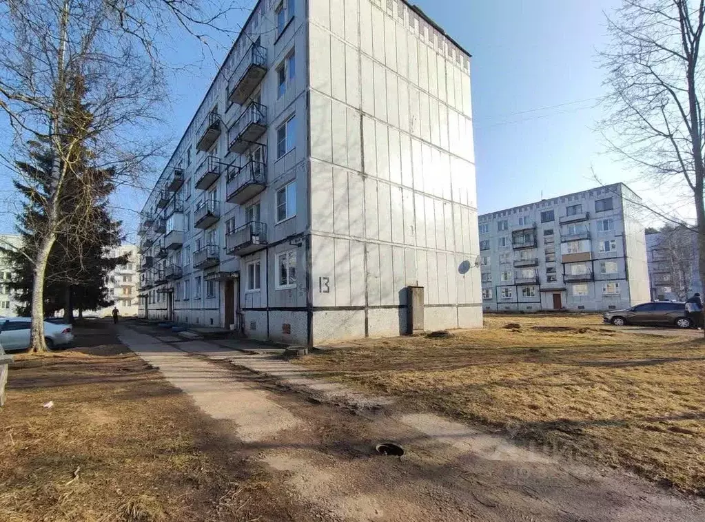 2-к кв. Псковская область, Гдовский район, Добручинская волость, пос. ... - Фото 1