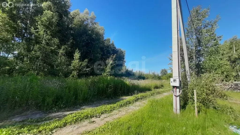 Участок в Луговое, Нивенская улица (6.5 м) - Фото 0