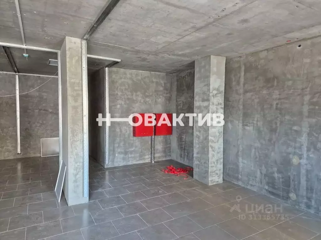 Помещение свободного назначения в Новосибирская область, Новосибирск ... - Фото 1