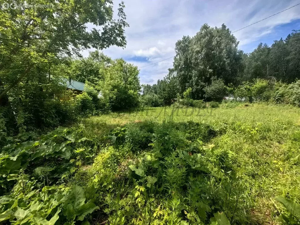 Участок в Майминский район, посёлок Рыбалка, Дачная улица (8 м) - Фото 1