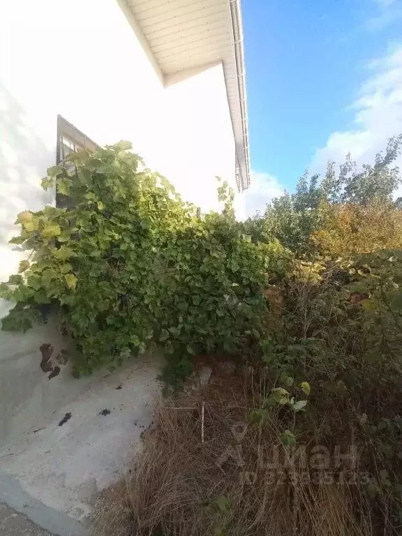 Дом в Севастополь Балаклавский муниципальный округ, СТ Морзаводец ТСН, ... - Фото 2