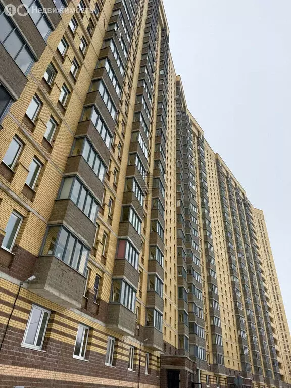 Квартира-студия: деревня Новое Девяткино, Капральская улица, 15 (23.2 ... - Фото 1