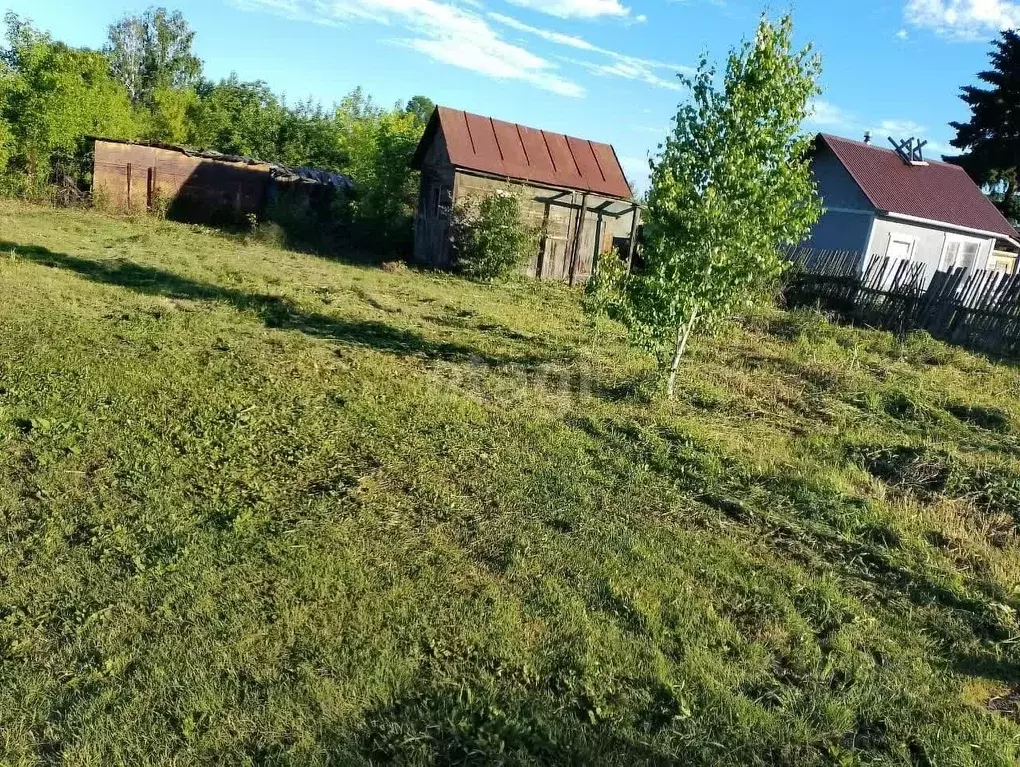 Участок в Новосибирская область, Новосибирск Сибиряк Пашинский СТ, 250 ... - Фото 0