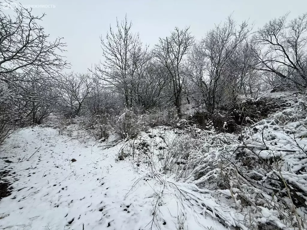 Участок в Ставропольский край, Предгорный муниципальный округ, садовое ... - Фото 1