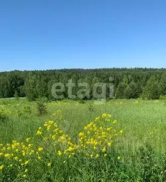 Участок в Пермский край, Пермский муниципальный округ, д. Пашня  ... - Фото 2