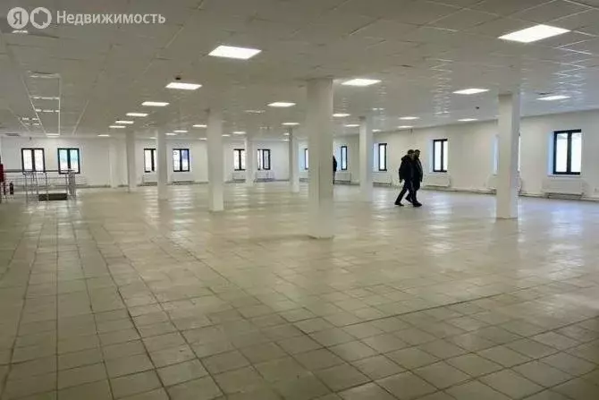Помещение свободного назначения (250 м) - Фото 0