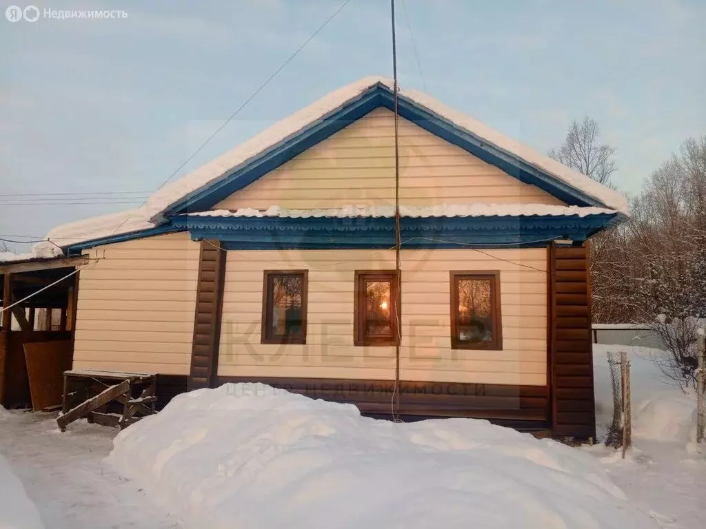 Дом в село Ахметово, Центральная улица, 93 (49 м) - Фото 1