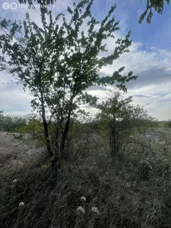 Участок в Андрее-Дмитриевский, Армавирская улица, 12 (25 м) - Фото 0