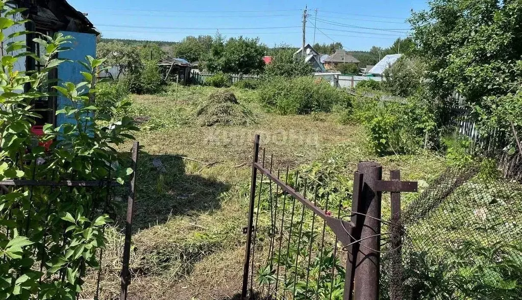 Участок в Новосибирская область, Новосибирский район, Мочищенский ... - Фото 0