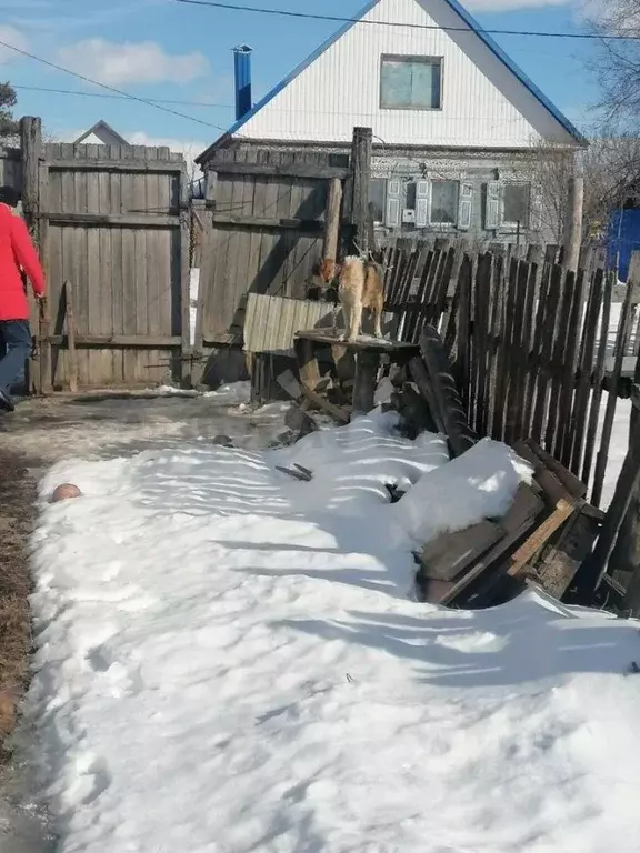 Дом в Саратовская область, Вольский район, с. Терса ул. Красный ... - Фото 1