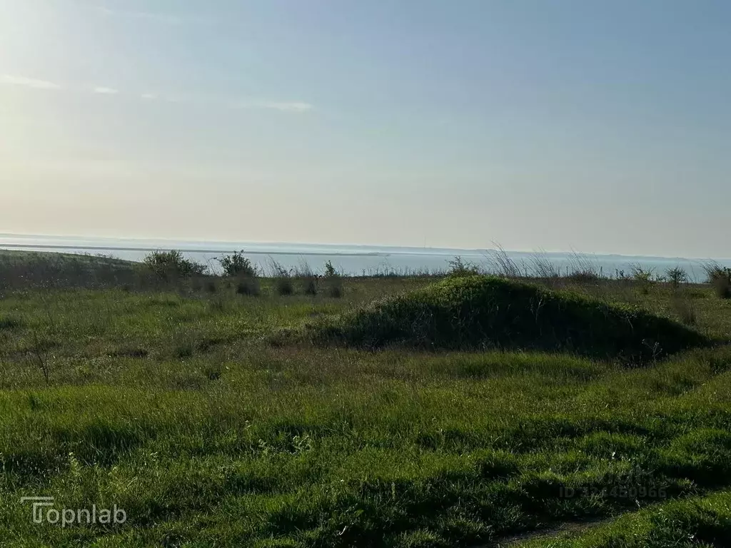 Участок в Краснодарский край, Темрюкский район, Тамань ст-ца ул. ... - Фото 2