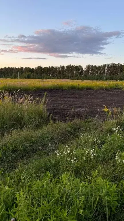 Участок в Тульская область, Тула муниципальное образование, д. ... - Фото 0