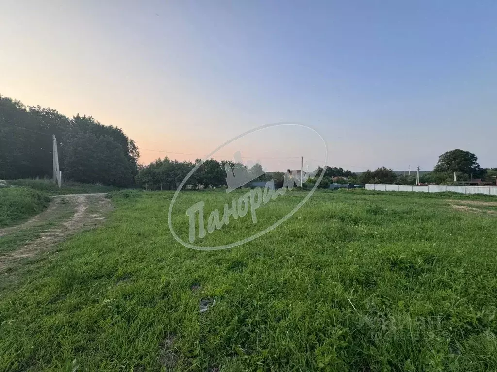 Участок в Калужская область, Ферзиковский муниципальный округ, ... - Фото 1