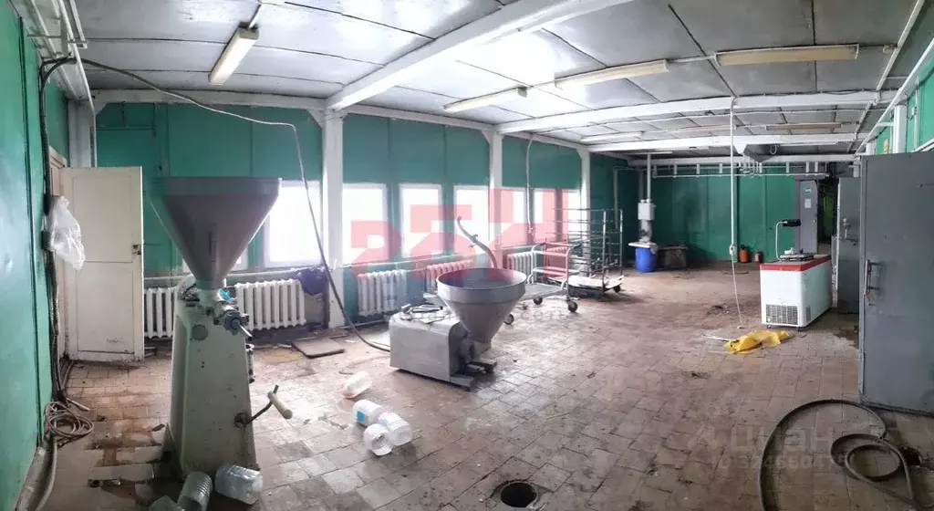 Производственное помещение в Пензенская область, Пензенский район, ... - Фото 2