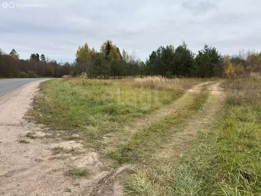 Участок в Псковская область, городское поселение Себеж, деревня ... - Фото 2
